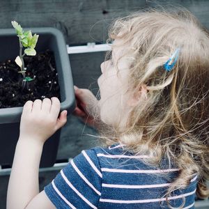 Growing Tomatoes, girl holding on to a plastic pot